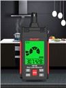 Portable Flammable Gas Leak Tester Alarm